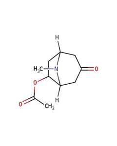 Astatech 8-METHYL-3-OXO-8-AZABICYCLO[3.2.1]OCTAN-6-YL ACETATE; 1G; Purity 95%; MDL-MFCD24396458